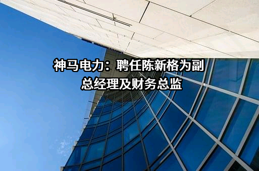 神马电力：聘任陈新格为副总经理及财务总监