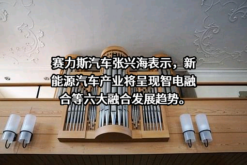 上海赛力斯汽车销售服务有限公司