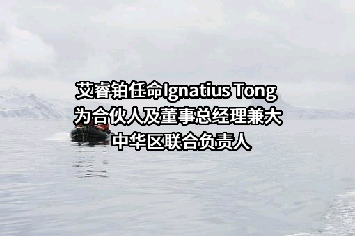 艾睿铂投资咨询（上海）有限公司