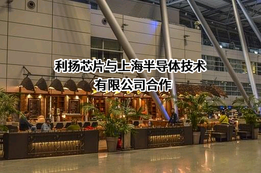 广东利扬芯片测试股份有限公司