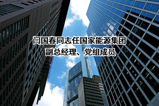 国家能源投资集团有限责任公司