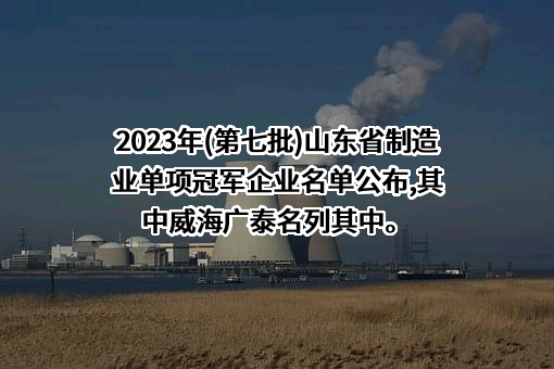威海广泰空港设备股份有限公司