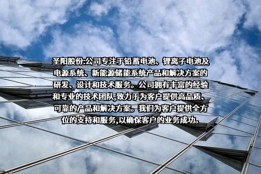 山东圣阳电源股份有限公司
