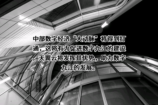 中国电信集团有限公司