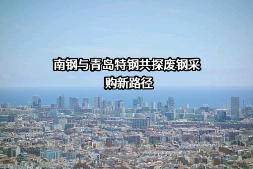 青岛特殊钢铁有限公司
