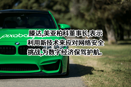 厦门市美亚柏科信息股份有限公司