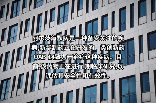 山东新华制药股份有限公司