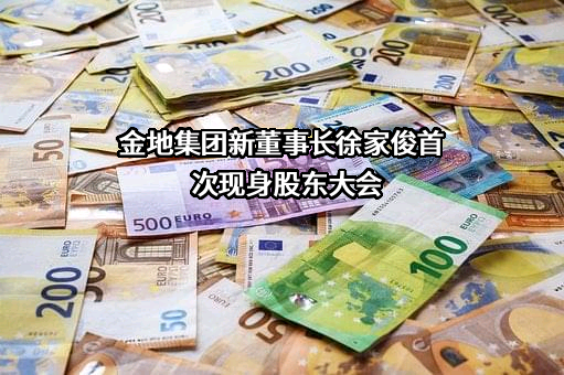 金地（集团）股份有限公司