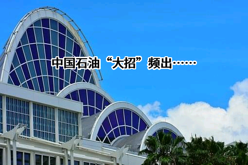 中国石油天然气股份有限公司