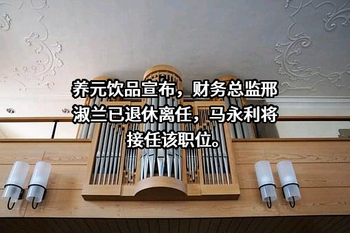 河北养元智汇饮品股份有限公司