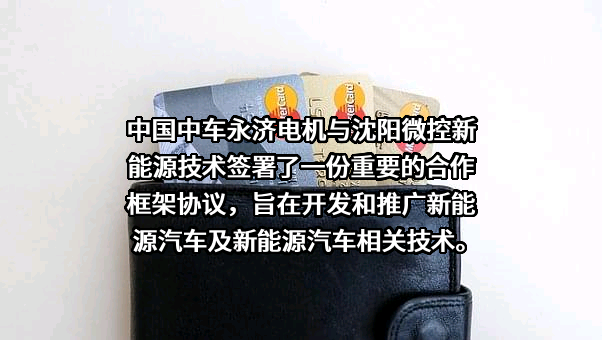 沈阳微控新能源技术有限公司