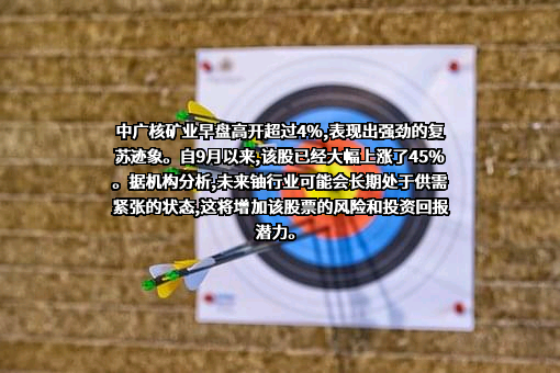 中广核矿业有限公司
