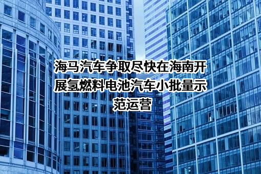 海马汽车股份有限公司