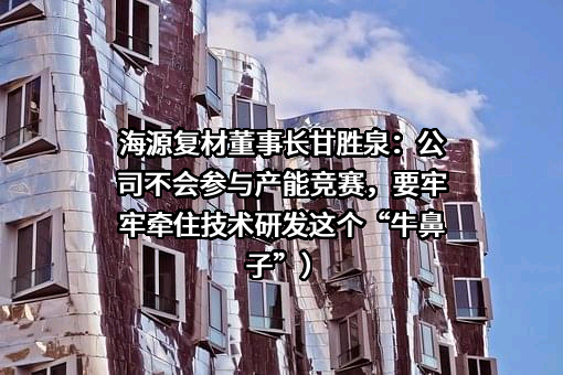 海源复材董事长甘胜泉：公司不会参与产能竞赛，要牢牢牵住技术研发这个“牛鼻子”）