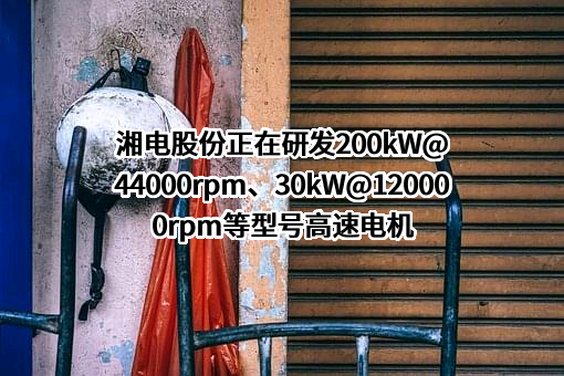 湘潭电机股份有限公司