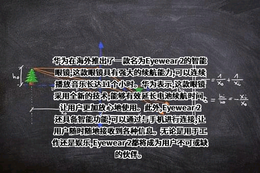 华为技术有限公司