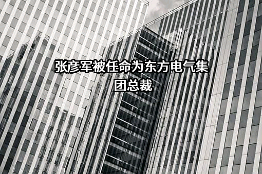 中国东方电气集团有限公司