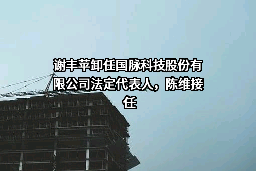 国脉科技股份有限公司