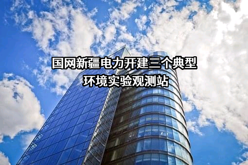 国网新疆电力有限公司