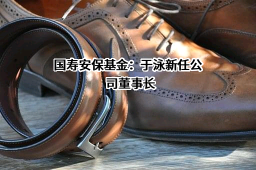 国寿安保基金管理有限公司