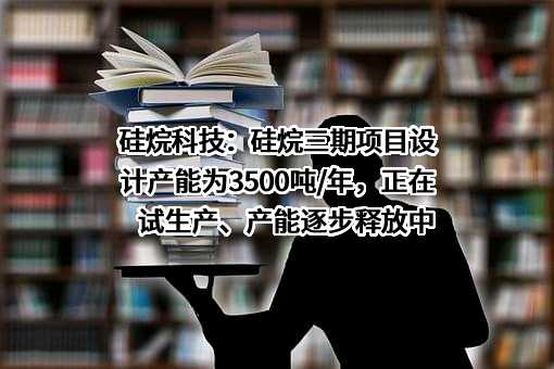河南硅烷科技发展股份有限公司