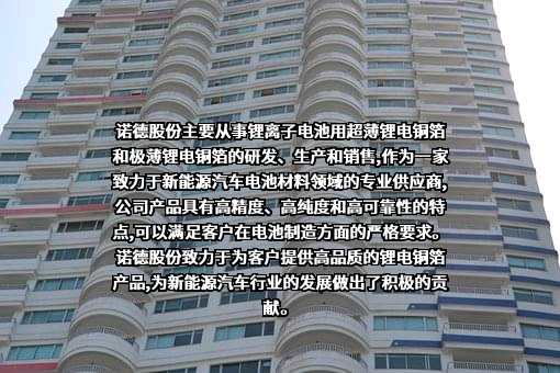 诺德新材料股份有限公司