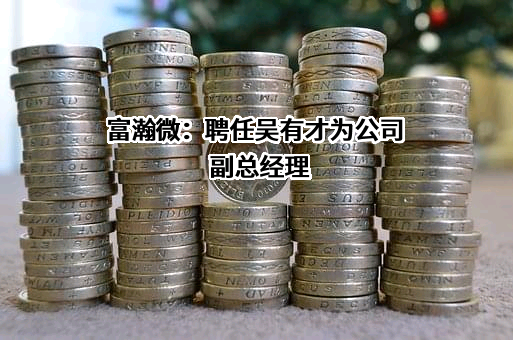 上海富瀚微电子股份有限公司