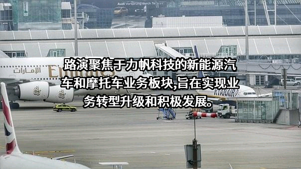力帆科技（集团）股份有限公司