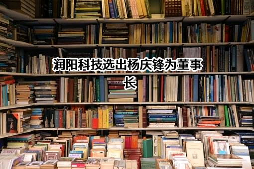 浙江润阳新材料科技股份有限公司