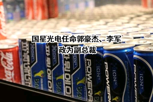 佛山市国星光电股份有限公司