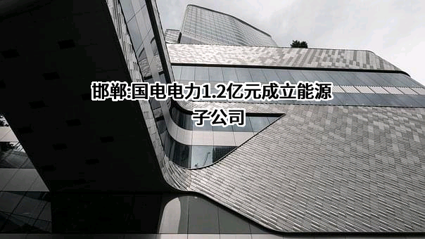 国电电力发展股份有限公司