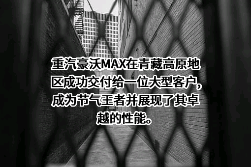 青海驰聘供应链管理有限公司