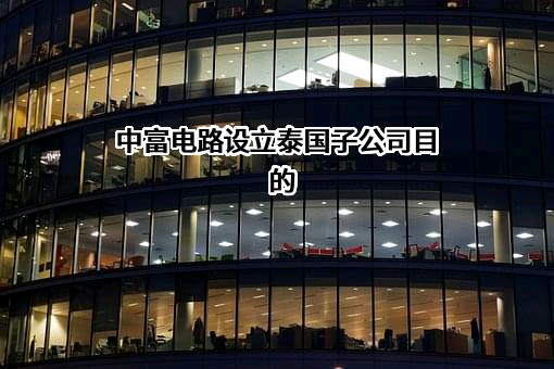 深圳中富电路股份有限公司