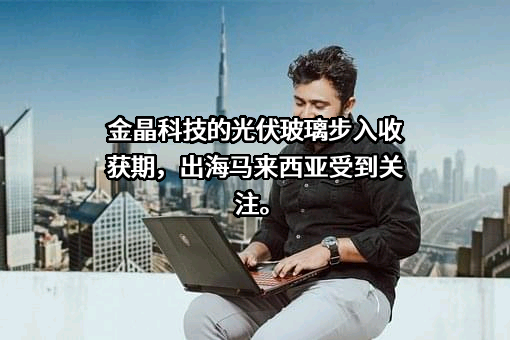 山东金晶科技股份有限公司