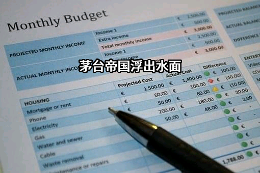 贵州茅台酒股份有限公司