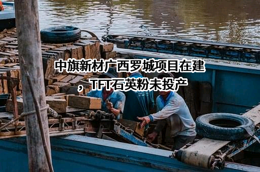 广东中旗新材料股份有限公司