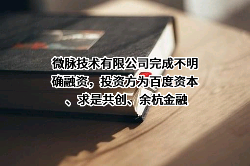 微脉技术有限公司