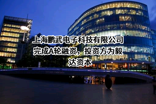 上海鹏武电子科技有限公司