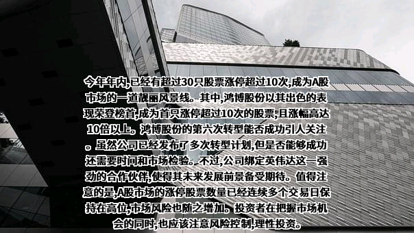 鸿博股份有限公司