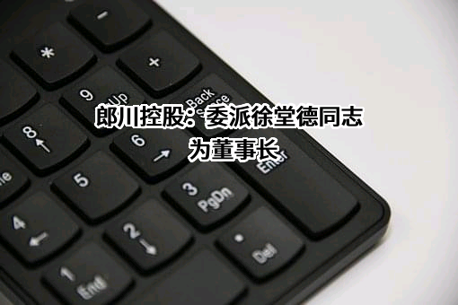 安徽郎川控股集团有限公司