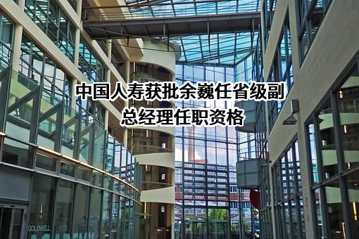 中国人寿保险（集团）公司