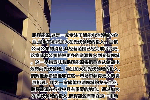 广州鹏辉能源科技股份有限公司