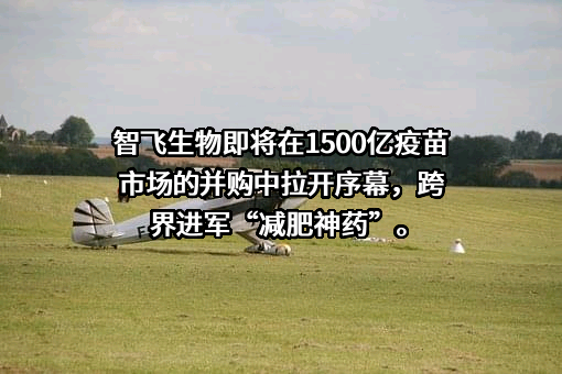 重庆智睿投资有限公司