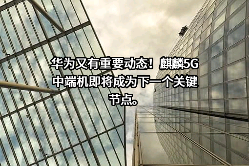 华为技术有限公司