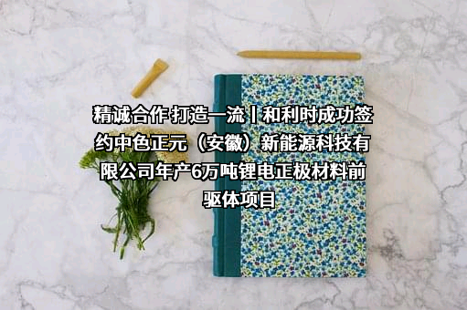 中色正元（安徽）新能源科技有限公司