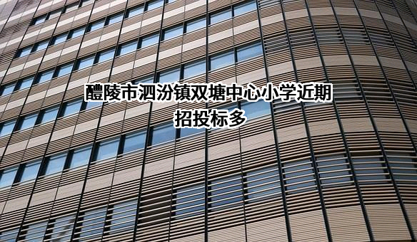 醴陵市泗汾镇双塘中心小学