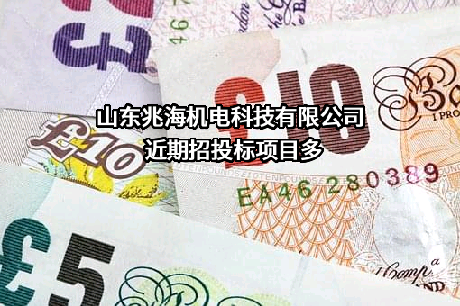 山东兆海机电科技有限公司