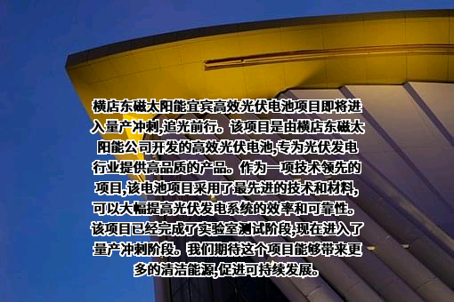 横店集团东磁股份有限公司