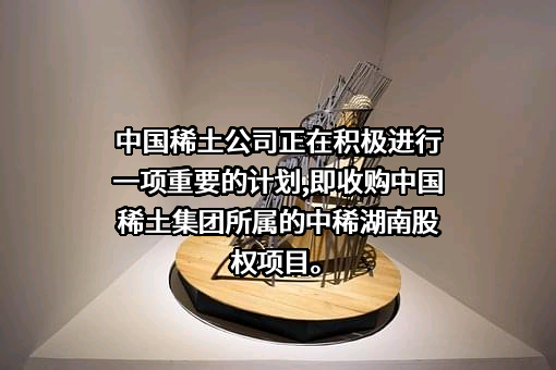 中国稀土控股有限公司