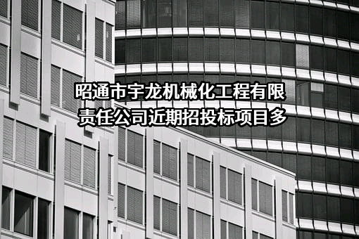 昭通市宇龙机械化工程有限责任公司